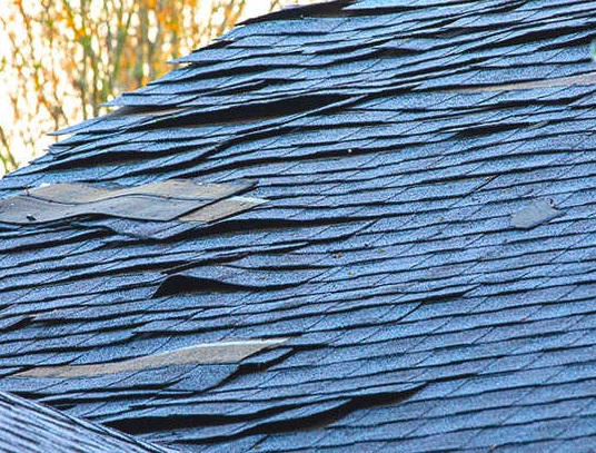 Questioning a Free Roof Inspection Offer in North Georgia