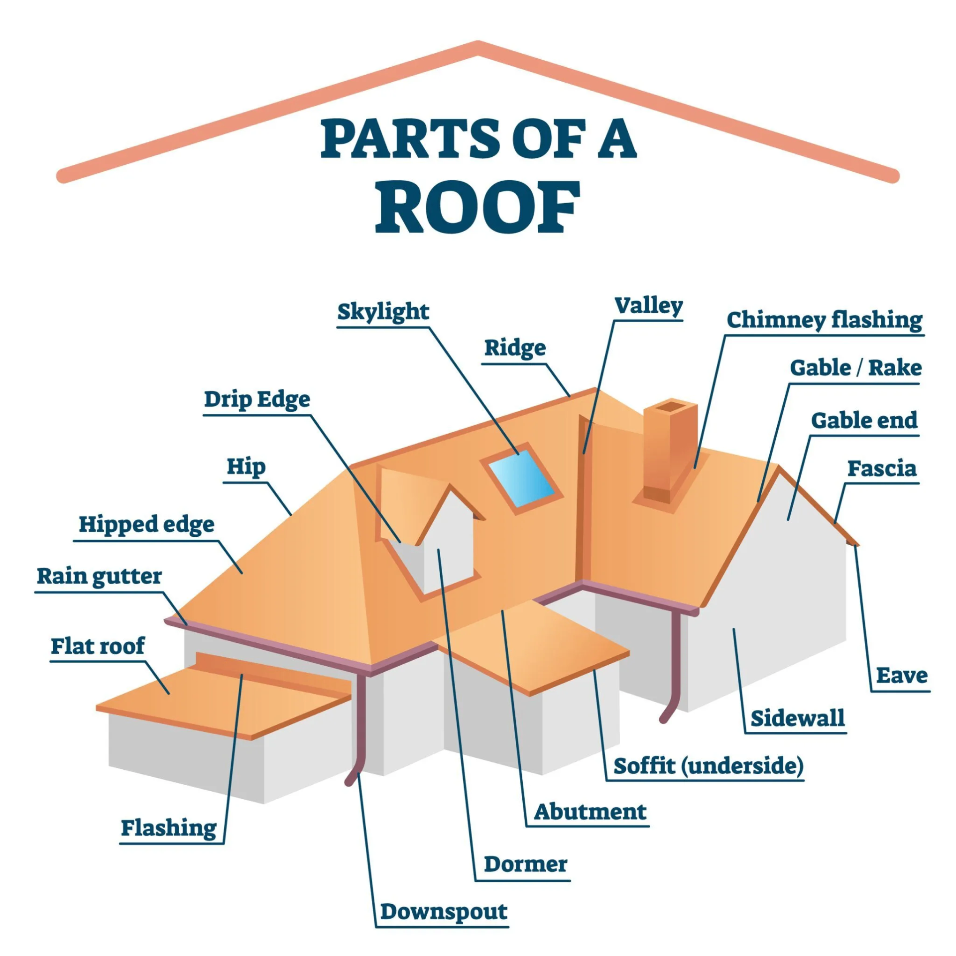 Labeled diagram showing the parts of a residential roof: ridge, hip, valley, skylight, chimney flashing, gable, fascia, eave, drip edge, rain gutter, flat roof, flashing, downspout, dormer, abutment, soffit, sidewall