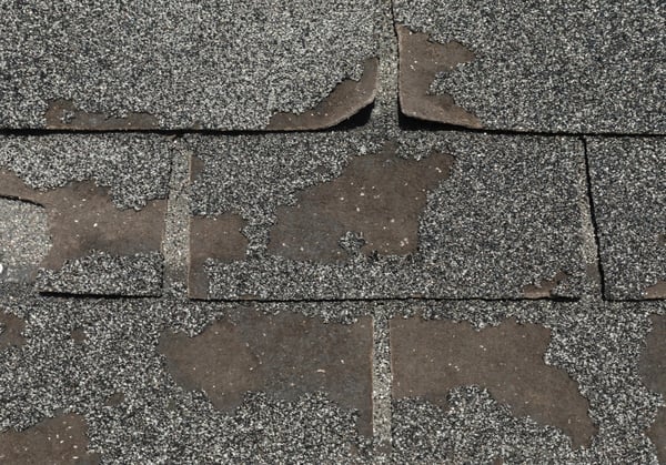 Granule loss: roof inspection photo by Vest Construction